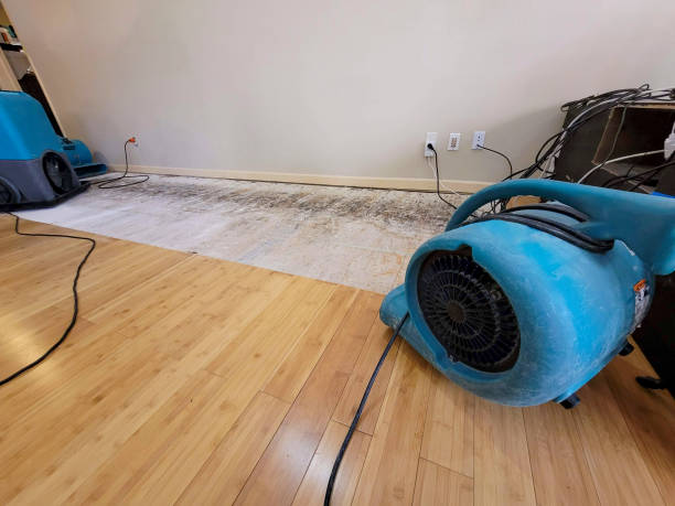Professional Structural Drying technician working in Springtown, TX